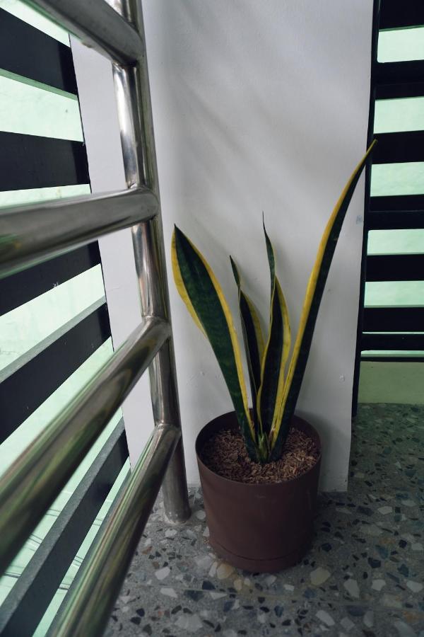 Cebu Backpackers Hostel Ngoại thất bức ảnh